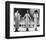 The Supremes-null-Framed Photo