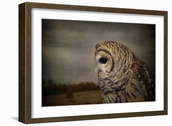 The Surveyor-Jai Johnson-Framed Giclee Print