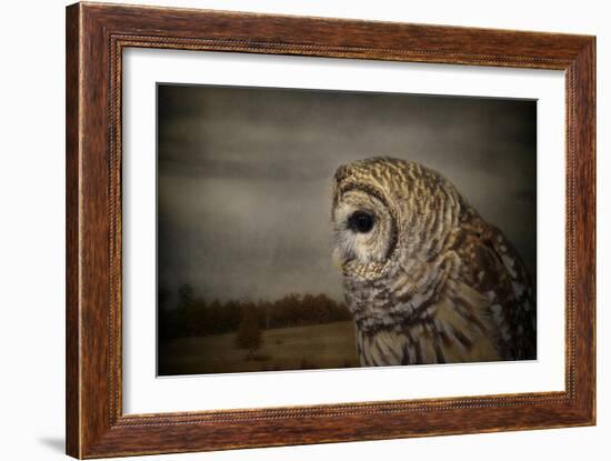 The Surveyor-Jai Johnson-Framed Giclee Print