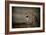 The Surveyor-Jai Johnson-Framed Giclee Print