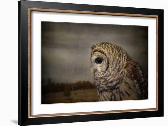 The Surveyor-Jai Johnson-Framed Giclee Print