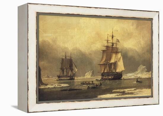 The 'Swan' and 'Isabella' Whaling in the Arctic-John of Hull Ward-Framed Premier Image Canvas