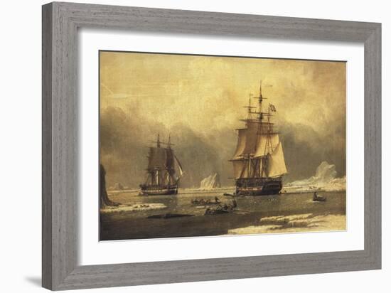 The 'Swan' and 'Isabella' Whaling in the Arctic-John of Hull Ward-Framed Giclee Print