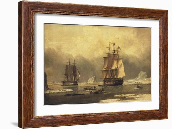 The 'Swan' and 'Isabella' Whaling in the Arctic-John of Hull Ward-Framed Giclee Print