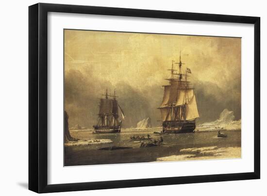 The 'Swan' and 'Isabella' Whaling in the Arctic-John of Hull Ward-Framed Giclee Print