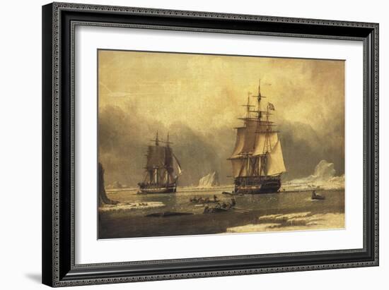 The 'Swan' and 'Isabella' Whaling in the Arctic-John of Hull Ward-Framed Giclee Print