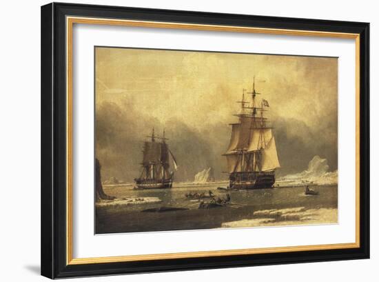 The 'Swan' and 'Isabella' Whaling in the Arctic-John of Hull Ward-Framed Giclee Print