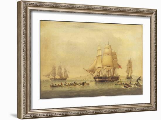 The 'Swan' and 'Isabella' Whaling in the Arctic-John of Hull Ward-Framed Giclee Print