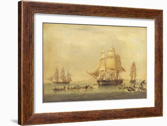 The 'Swan' and 'Isabella' Whaling in the Arctic-John of Hull Ward-Framed Giclee Print