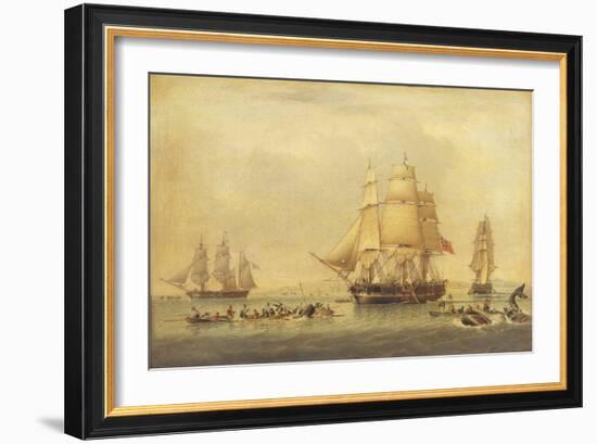 The 'Swan' and 'Isabella' Whaling in the Arctic-John of Hull Ward-Framed Giclee Print