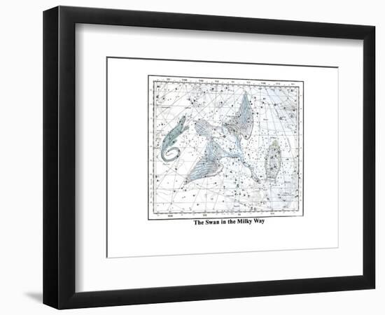 The Swan in the Milkyway-Alexander Jamieson-Framed Premium Giclee Print
