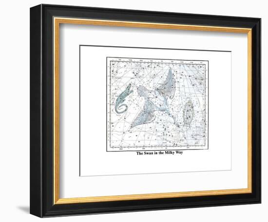 The Swan in the Milkyway-Alexander Jamieson-Framed Premium Giclee Print