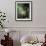 The Swing-Jean Honore Fragonard-Framed Premium Giclee Print displayed on a wall