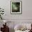 The Swing-Jean Honore Fragonard-Framed Premium Giclee Print displayed on a wall