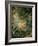 The Swing-Jean-Honor? Fragonard-Framed Premium Giclee Print