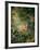 The Swing-Jean-Honor? Fragonard-Framed Giclee Print