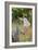 The Swing-Percy Tarrant-Framed Giclee Print
