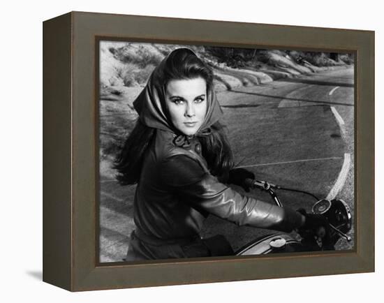 The Swinger, 1966-null-Framed Premier Image Canvas