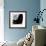 The Symbolic Image of a Piano on White Background-Dmitriip-Framed Premium Giclee Print displayed on a wall