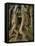 The Ta Prohm Temple Located at Angkor in Cambodia-Kyle Hammons-Framed Premier Image Canvas