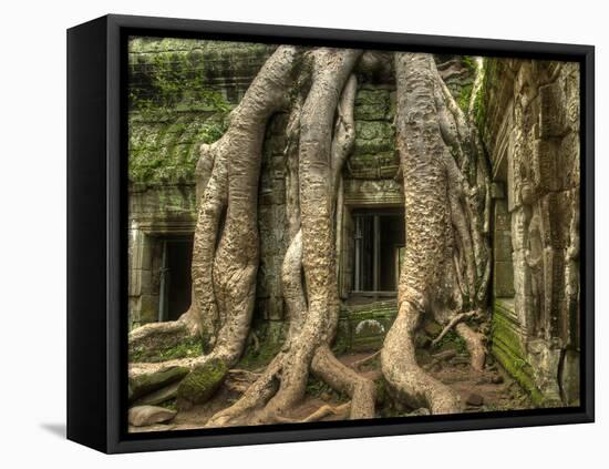 The Ta Prohm Temple Located at Angkor in Cambodia-Kyle Hammons-Framed Premier Image Canvas