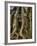 The Ta Prohm Temple Located at Angkor in Cambodia-Kyle Hammons-Framed Photographic Print