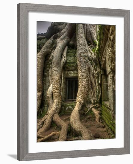 The Ta Prohm Temple Located at Angkor in Cambodia-Kyle Hammons-Framed Photographic Print