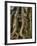 The Ta Prohm Temple Located at Angkor in Cambodia-Kyle Hammons-Framed Photographic Print