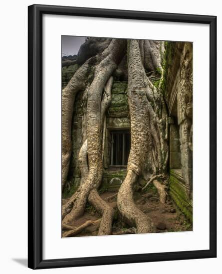 The Ta Prohm Temple Located at Angkor in Cambodia-Kyle Hammons-Framed Photographic Print