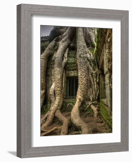 The Ta Prohm Temple Located at Angkor in Cambodia-Kyle Hammons-Framed Photographic Print