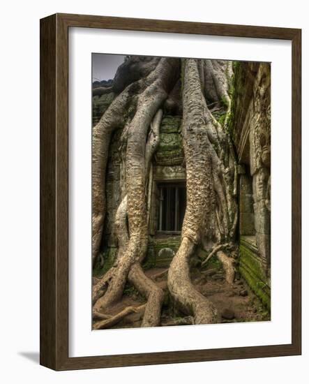 The Ta Prohm Temple Located at Angkor in Cambodia-Kyle Hammons-Framed Photographic Print