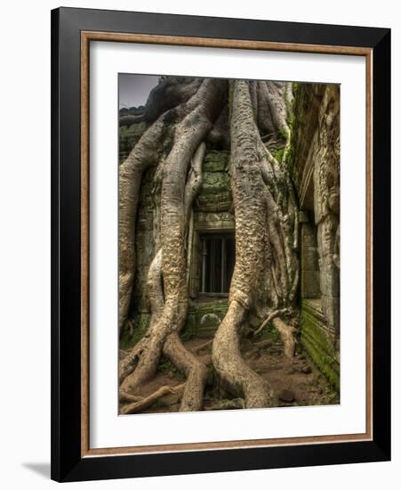 The Ta Prohm Temple Located at Angkor in Cambodia-Kyle Hammons-Framed Photographic Print