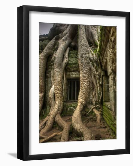 The Ta Prohm Temple Located at Angkor in Cambodia-Kyle Hammons-Framed Photographic Print