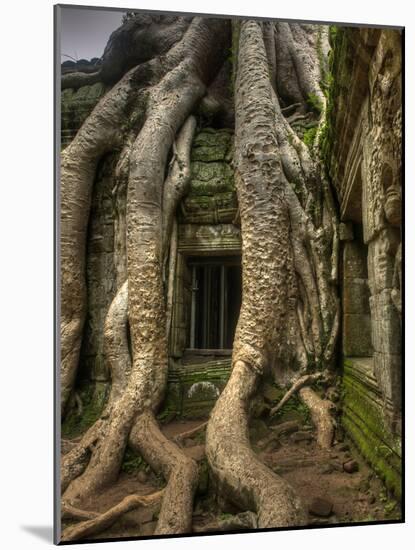 The Ta Prohm Temple Located at Angkor in Cambodia-Kyle Hammons-Mounted Photographic Print
