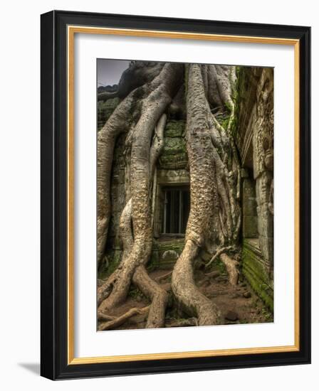 The Ta Prohm Temple Located at Angkor in Cambodia-Kyle Hammons-Framed Photographic Print