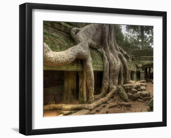 The Ta Prohm Temple Located at Angkor in Cambodia-Kyle Hammons-Framed Photographic Print