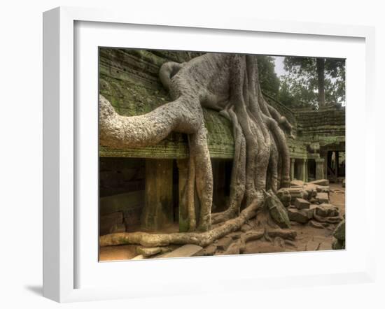 The Ta Prohm Temple Located at Angkor in Cambodia-Kyle Hammons-Framed Photographic Print