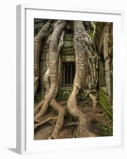 The Ta Prohm Temple Located at Angkor in Cambodia-Kyle Hammons-Framed Photographic Print