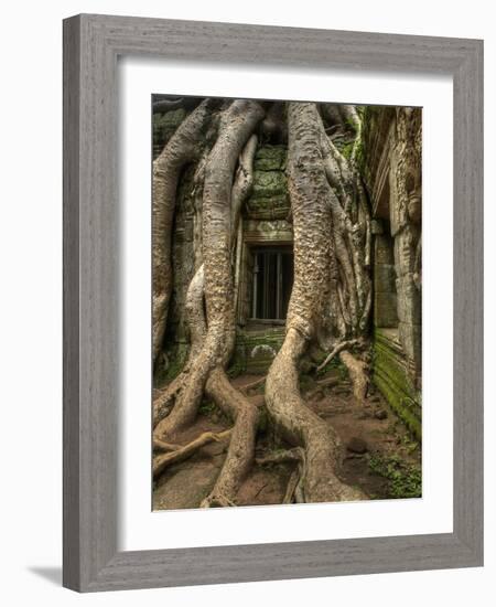 The Ta Prohm Temple Located at Angkor in Cambodia-Kyle Hammons-Framed Photographic Print