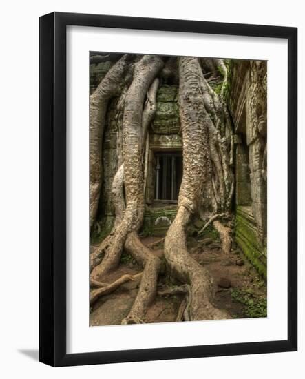 The Ta Prohm Temple Located at Angkor in Cambodia-Kyle Hammons-Framed Photographic Print