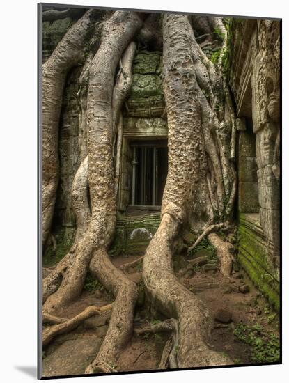 The Ta Prohm Temple Located at Angkor in Cambodia-Kyle Hammons-Mounted Photographic Print