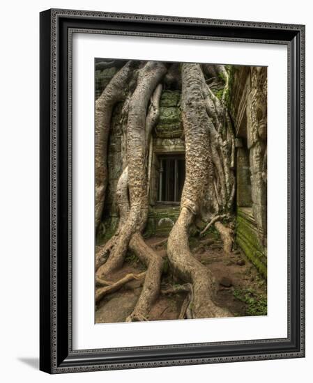 The Ta Prohm Temple Located at Angkor in Cambodia-Kyle Hammons-Framed Photographic Print