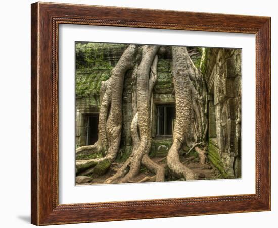 The Ta Prohm Temple Located at Angkor in Cambodia-Kyle Hammons-Framed Photographic Print