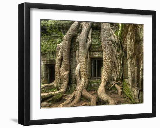 The Ta Prohm Temple Located at Angkor in Cambodia-Kyle Hammons-Framed Photographic Print