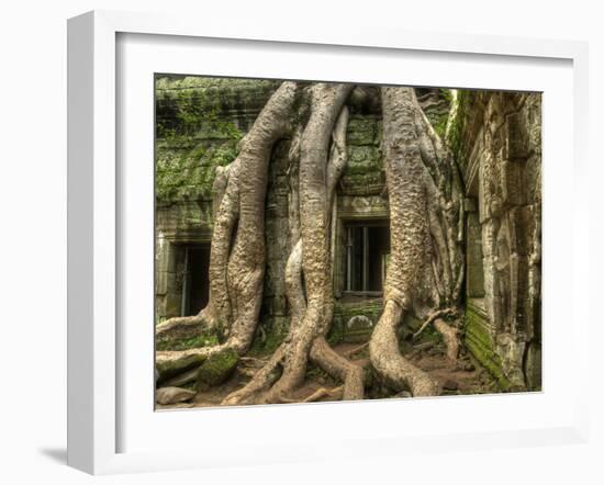 The Ta Prohm Temple Located at Angkor in Cambodia-Kyle Hammons-Framed Photographic Print