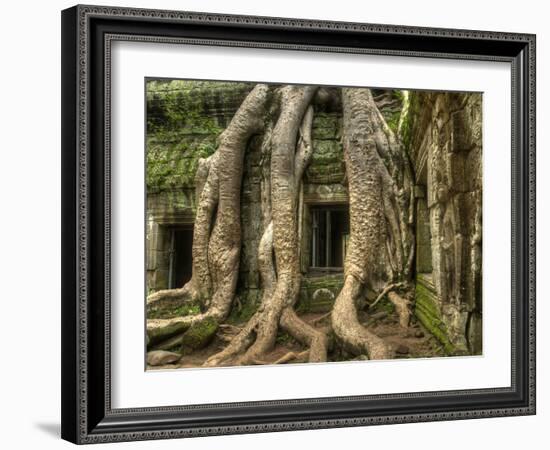 The Ta Prohm Temple Located at Angkor in Cambodia-Kyle Hammons-Framed Photographic Print