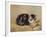 The Tabby-Henriette Ronner-Knip-Framed Giclee Print