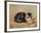 The Tabby-Henriette Ronner-Knip-Framed Giclee Print