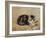 The Tabby-Henriette Ronner-Knip-Framed Giclee Print