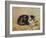 The Tabby-Henriette Ronner-Knip-Framed Giclee Print